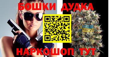 стафф Новодвинск