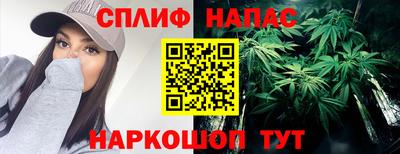 мяу мяу мука Новозыбков