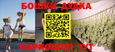 стафф Новодвинск