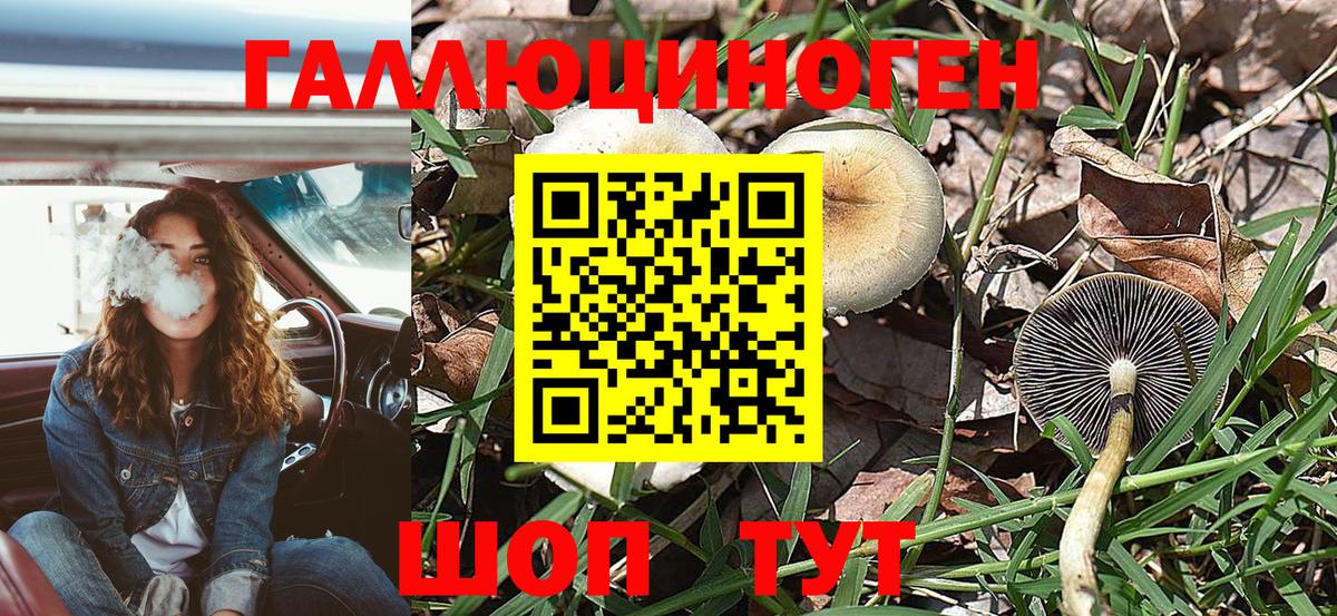 Псилоцибиновые грибы Cubensis  Галлюциногенные грибы MAGIC MUSHROOMS  Белебей  Вход с VPN 